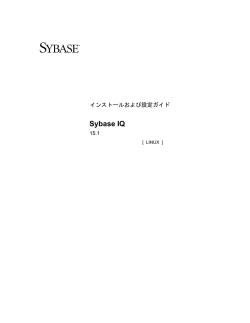 Sybase IQ