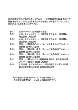 症例と染色例（PDFファイル）