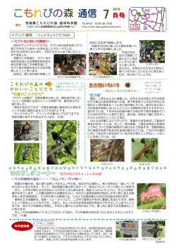 こもれびの森通信 2016年7月号
