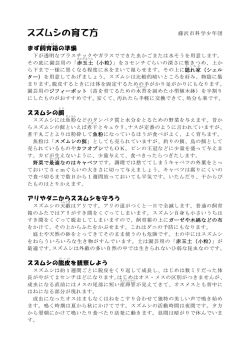 スズムシの育て方（PDFファイル19KB）