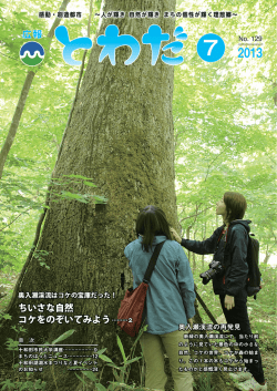 ちいさな自然 コケをのぞいてみよう
