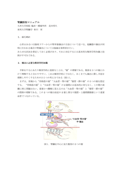 腎臓採取マニュアル