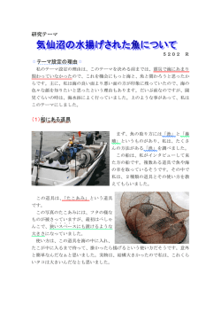 気仙沼の水揚げされた魚について