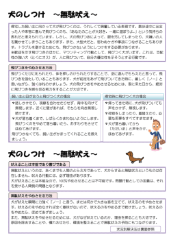 犬の問題行動