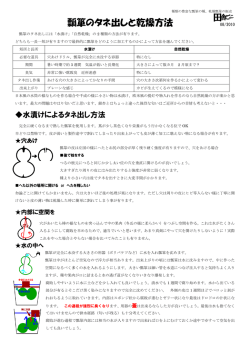 瓢箪のタネ出しと乾燥方法