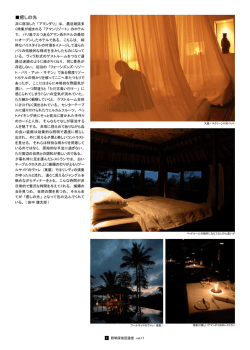 1 癒しの光 - 照明探偵団