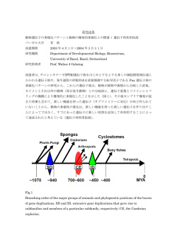 動物遺伝子の多様化パターンと動物の爆発的多様化との関連 / 遺伝子再