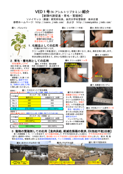 VED1号(N-アシルトリプタミン)紹介 【新陳代謝促進・育毛・繁殖剤】 1