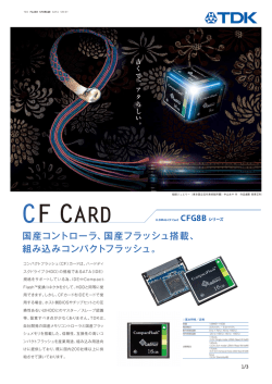 CF CARD - TDK Product Center