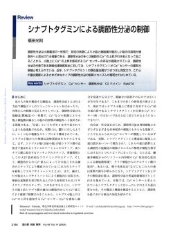 蛋白質核酸酵素:シナプトタグミンによる調節性分泌の制御