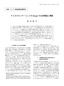 ケミカルセンサーとしての Keap1の立体構造と機能