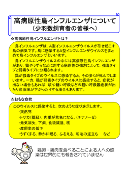 高病原性鳥インフルエンザについて