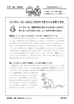 カンガルーは、なぜふくろの中で赤ちゃんを育てるの