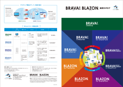 Brava製品 総合カタログ （PDF：約4.5MB）