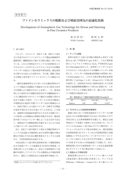 ファインセラミックスの脱脂および焼結雰囲気の最適化技術