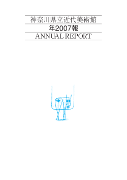 年報 2007年度（PDF/3.11MB）