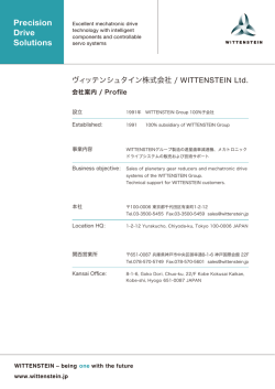 PDF - Wittenstein AG