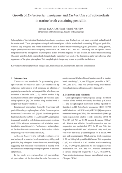 Growth of Enterobacter amnigenus and Escherichia
