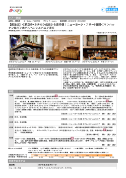 【燃油込】≪航空券+ホテル≫成田から直行便｜ニューヨーク・フリー5