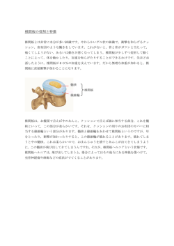 椎間板の役割と特徴