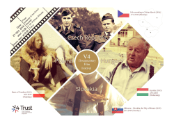 V4 Documentary Film Festival