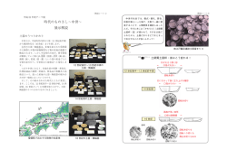 時代のものさし&sim;中世&sim; 展示解説 - 愛媛県埋蔵文化財センター