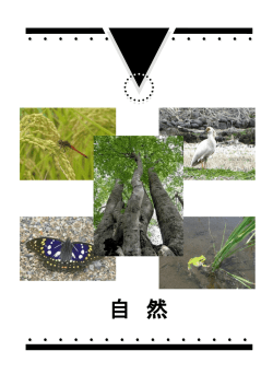 2.自然（原稿）(3.41MBytes)