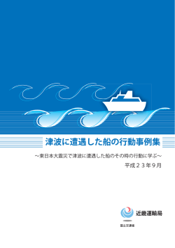 津波に遭遇した船の行動事例集