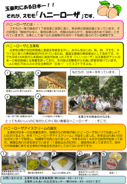 それが、スモモ「ハニーローザ」です。