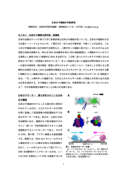 pdf1MB - 分子科学研究所