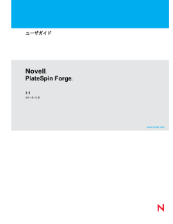 PlateSpin Forge