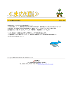 クジラ時代の救世主