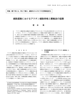 細胞運動におけるアクチン細胞骨格と膜輸送の協調