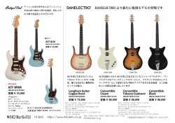 2015.12 DANELECTRO
