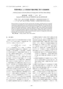 有限体積法による浸透流の動的挙動に関する数値解析