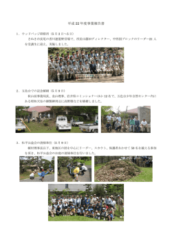 平成 22 年度事業報告書