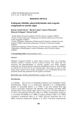 MAN MR OSE-15650 1/18 ランボルギーニ GT-R（TT