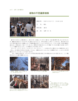 (2010年11月) 【PDF版】
