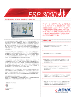 FSP-3000【pdf:333KB】