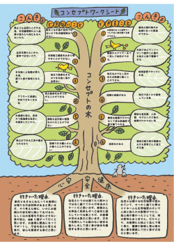 Kitchen - 井原貞工務店