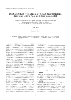 記憶喪失性貝毒成 ドウモイ酸によるマウスの自発的 替行動障害に