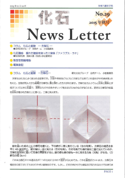 2015年12月22日発刊No.29