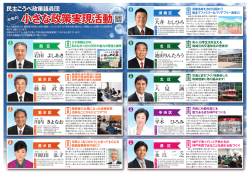 2016年2月号外 特別号 小さな政策活動