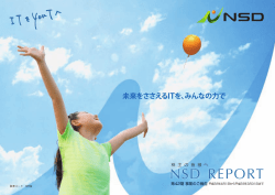 平成23年3月期 - 株式会社NSD