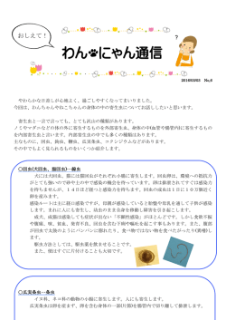 わん にゃん通信 - シンドウ動物病院