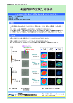 この分析事例のPDFファイルを開く
