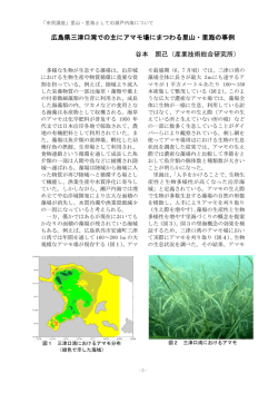 広島県三津口湾での主にアマモ場にまつわる里山・里海の事例 谷本 照