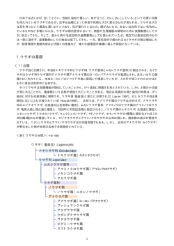 1.ウサギの基礎