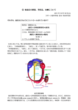 2 低血圧の原因、予防、治療について（PDF：803KB）