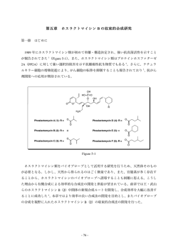 第五章 ホスラクトマイシン B の収束的合成研究